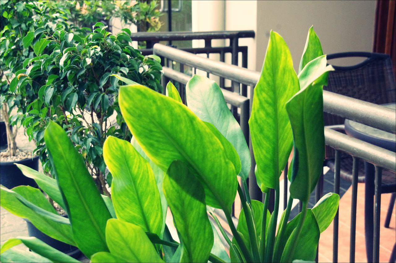 Citi Serviced Apartments & Motel - Lagatoi Place Порт-Морсби Экстерьер фото